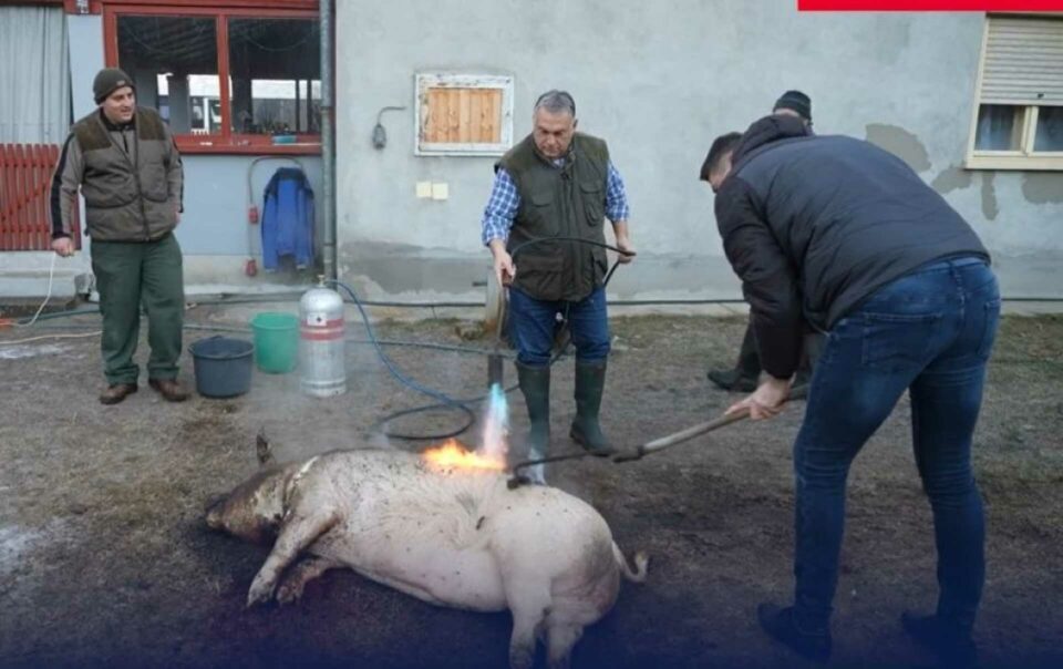Orbán egy fél nyugdíjnyi értékű csizmában tapossa a sarat – ha disznót öl, megadja a módját