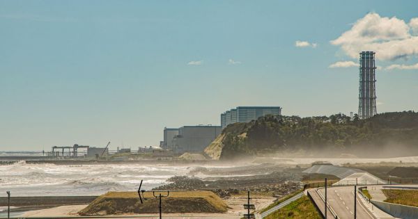 Furcsa dolgot művelt a fukusimai atomkatasztrófa a környék fáival