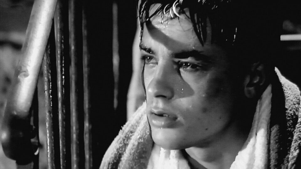 Alain Delon eutanáziára készül