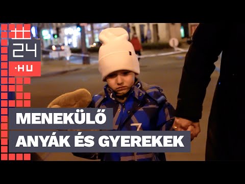 ,,Amikor elmenekültünk Kijevből, a fiamnak annyit mondtam, megyünk, megkeressük cicáját” | 24.hu