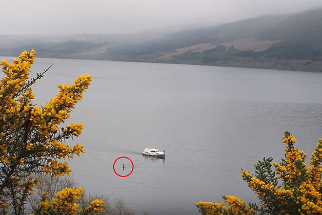 Újra felbukkant a Loch Ness-i szörny: idén először rögzítette a tó kamerája