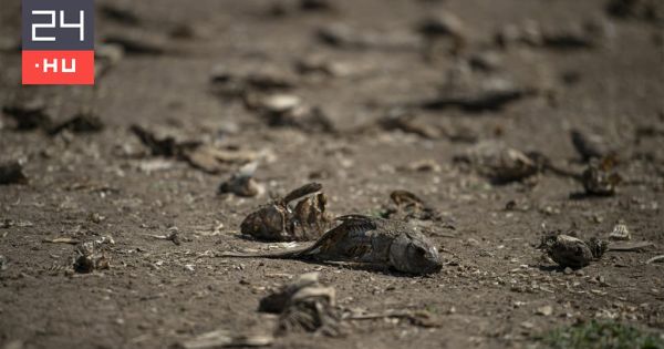 Először tavak tűnnek el, aztán elzárják a csapokat