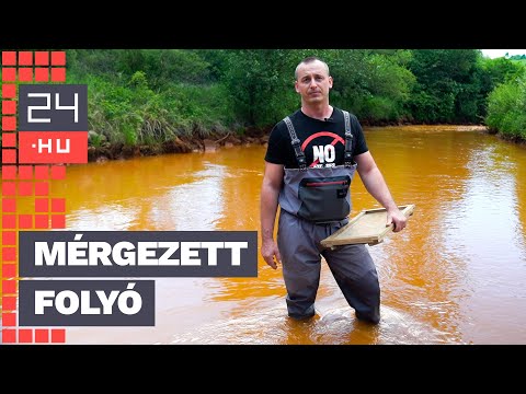 „Megöltétek a folyónkat” – három hónap elteltével kezdődött csak meg a kárelhárítás a Sajón | 24.hu