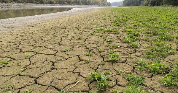 Hatalmas a baj: A szakértő szerint uniós pénz nélkül éveken belül csődbe mehet a magyar mezőgazdaság