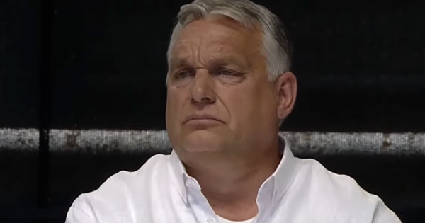 Egy újabb város tagadta meg Orbán parancsát: Nem engedik kivágni az erdőket a tűzifarendelet után sem