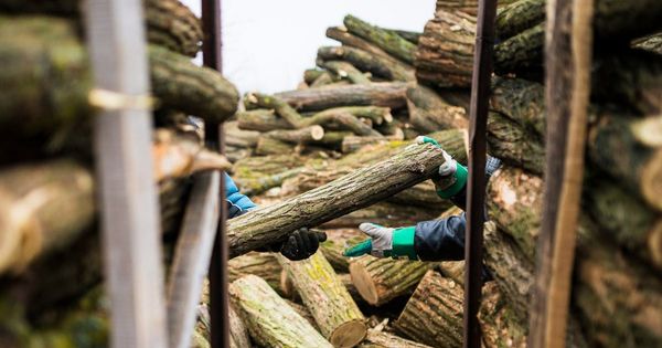 Energiaválság: rendkívüli döntés a magyar kormánytól