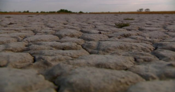 Olyan pusztító szárazság vár ránk, hogy otthon is érdemes lehet gyűjteni az esővizet