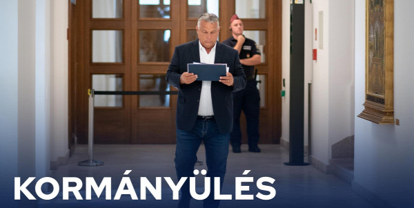 Családi nyaraláson csípte meg egy szúnyog a 9 éves kisfiút: néhány nappal később elhunyt
