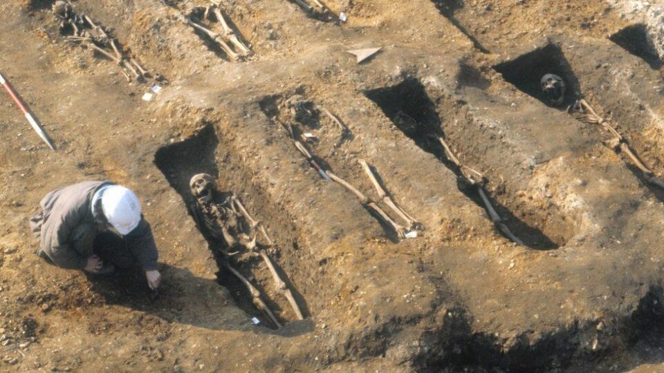 Black Death 700 years ago affects your health now