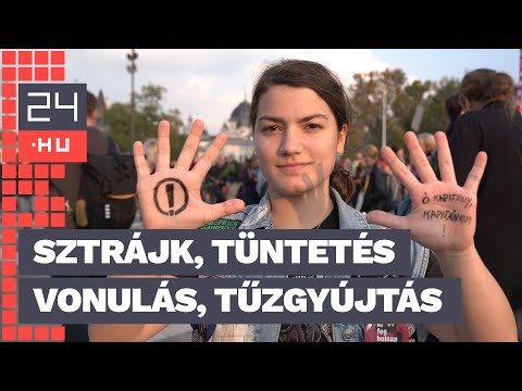 Palya Tamás: Mindig szeretem, amikor Gulyás Gergely az erkölcsről beszél | 24.hu
