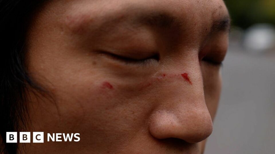 Watch: Hong Kong protester beaten up in China consulate grounds