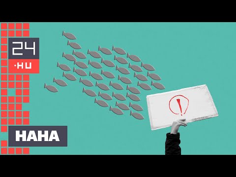 „Azóta itt élünk tíz év NER-ben” – évtizedes az ábránd, hogy diákok befolyásolják a kormányt | 24.hu