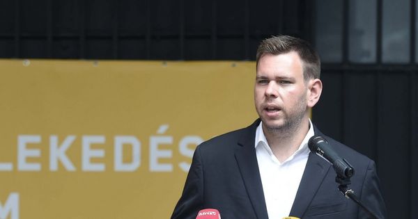 Palkovics lemondása után Vitézy is távozik a kormányból