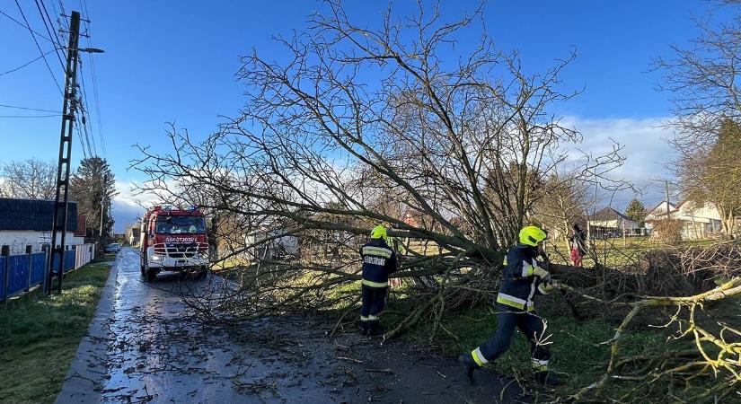 Egyetlen nap alatt iszonyú károkat okozott a vihar, megdőlt a szélrekord