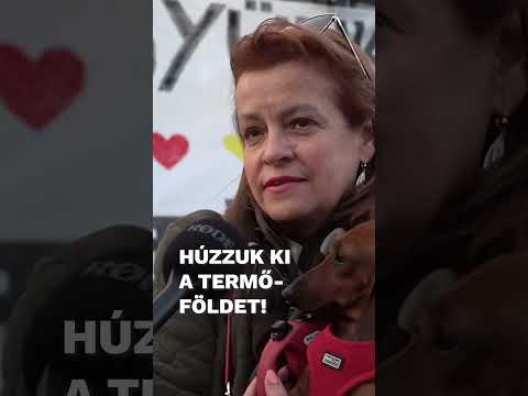 #győr-ben attól tartanak, hogy #akkumulátorgyár épülhet egy kormányrendelet értelmében. #24ponthu