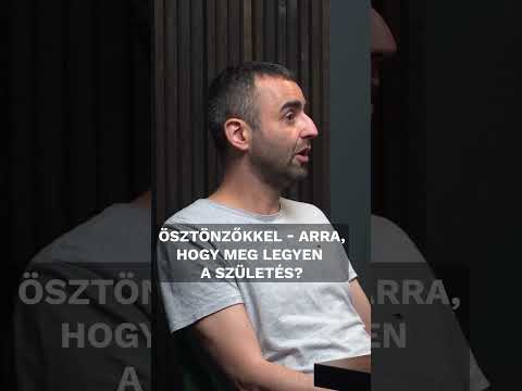 Miért hiányzik a konzervatív politikából az oktatás?  #24hu #háromharmad #oktatás #fidesz