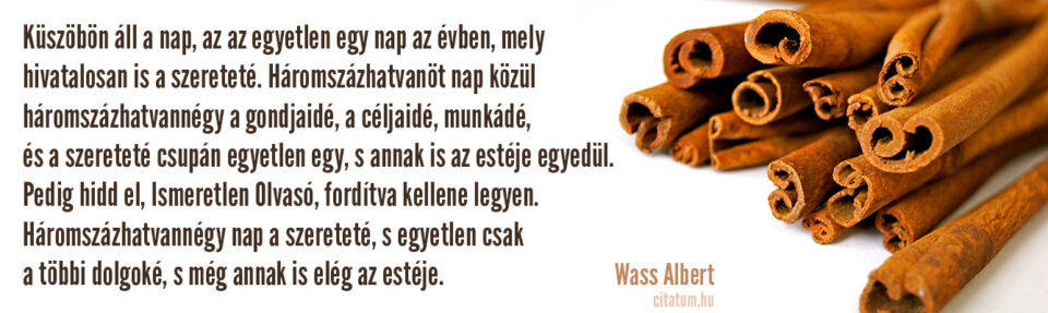 Küszöbön a nyugdíjemelés, akár 200 ezer forintra is számíthatnak egyes nyugdíjasok