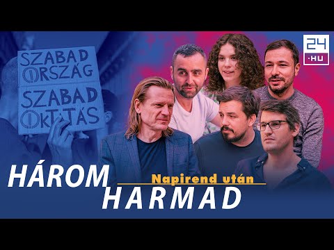 Mit tudnak a taxisok és napelemesek, amit a tanárok nem? | 24.hu