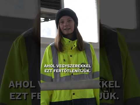 Mobiltelefon, műfogsor, bankkártya és ékszer a szennyvízben | 24.hu