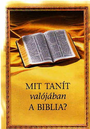Valójában a fehér aranyért folyik a háború Ukrajnában?