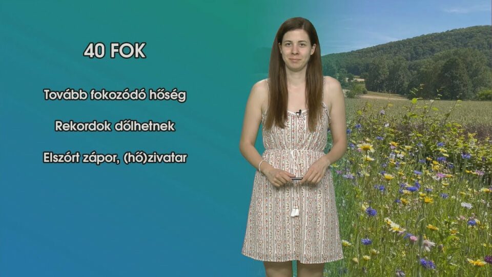 A 40 fokot is bírja és gyönyörűen virágzik: ezt ültesd muskátli helyett