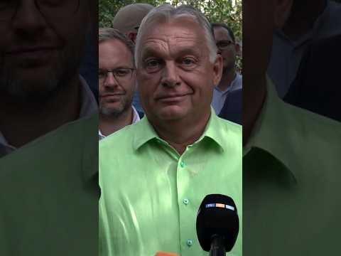 Fiatal demokraták? #24hu #kötcse #kötcseipiknik #orbánviktor #fidesz #fiatal #demokraták #24ponthu