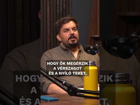 A Tisza letakarította a teret, ahol már körbe tudja hordozni Gyurcsány fejét #24ponthu #háromharmad
