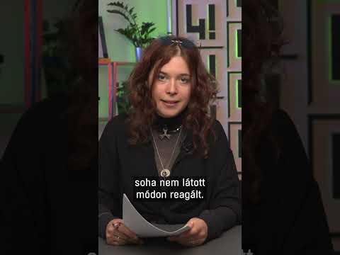 Tavaszi nagytakarítás