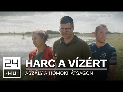 „A parasztembernek meg kell tudni élnie” – vizet vezettek a tájba a homokhátsági gazdák | 24.hu