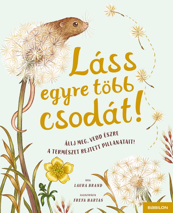Egyre több a halott, sok táborozó kisgyereket még mindig keresnek