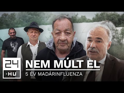 „Ha a feleségem nem dolgozik, mi éhen halunk” – ötödik éve pusztít a madárinfluenza | 24.hu